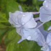 myapya112905
